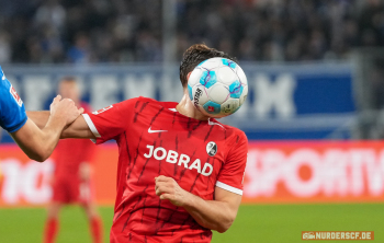 TSG 1899 Hoffenheim vs. SC Freiburg (1. Bundesliga)