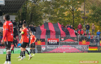 1. Göppinger SV vs. SC Freiburg II (Regionalliga Südwest)