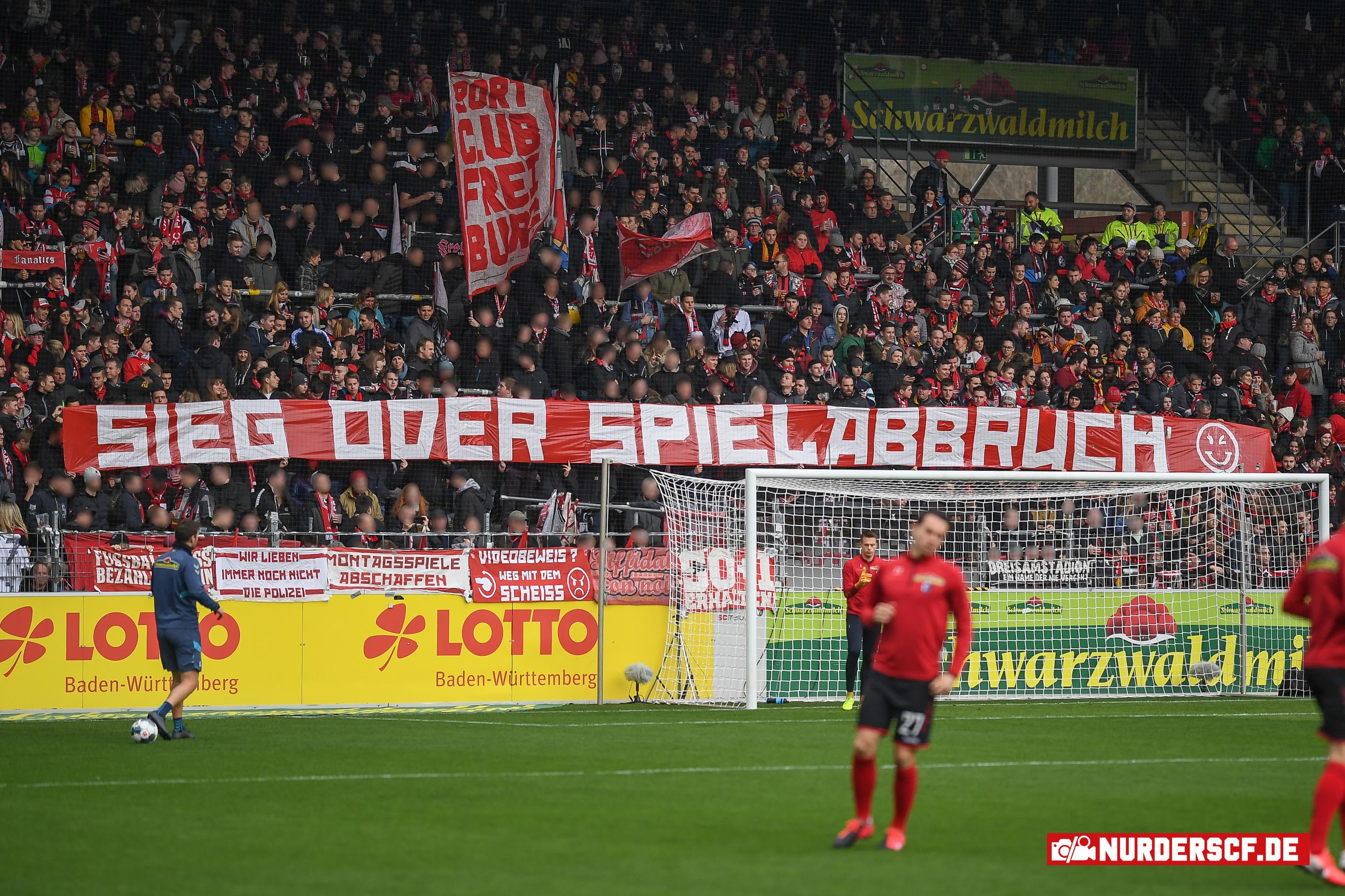 Fotos: SC Freiburg - Union Berlin | Nur der SCF!